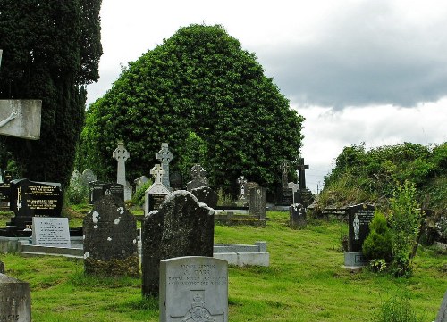 Oorlogsgraven van het Gemenebest Jamestown Cemetery #1