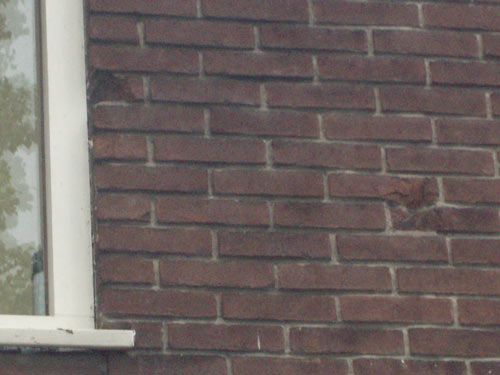 Bullet Impacts Weeskinderendijk #3