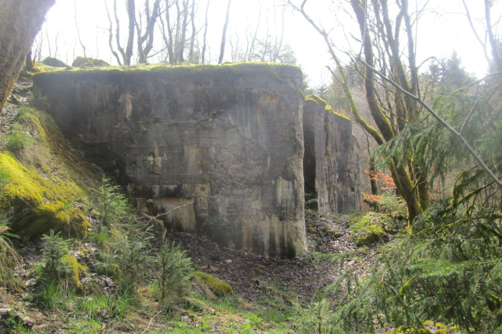 Westwall - Bunker 121a #3