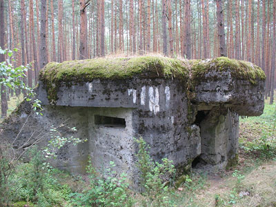 Polish Casemate Faustynow #1