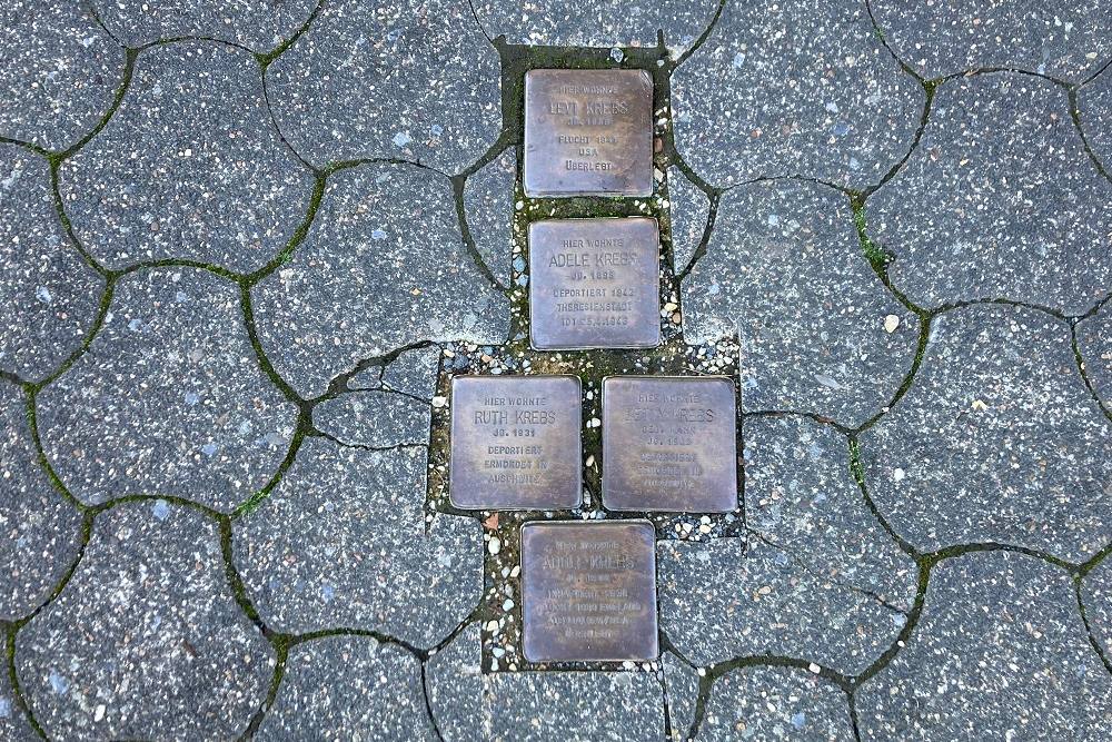 Stumbling Stones Emil-Wolff-Straße 15 #1
