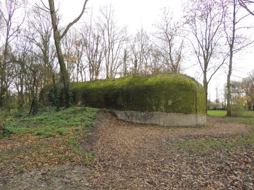 Bunker 9 Stützpunkt Brünhild 'Park Toorenvliedt' #4