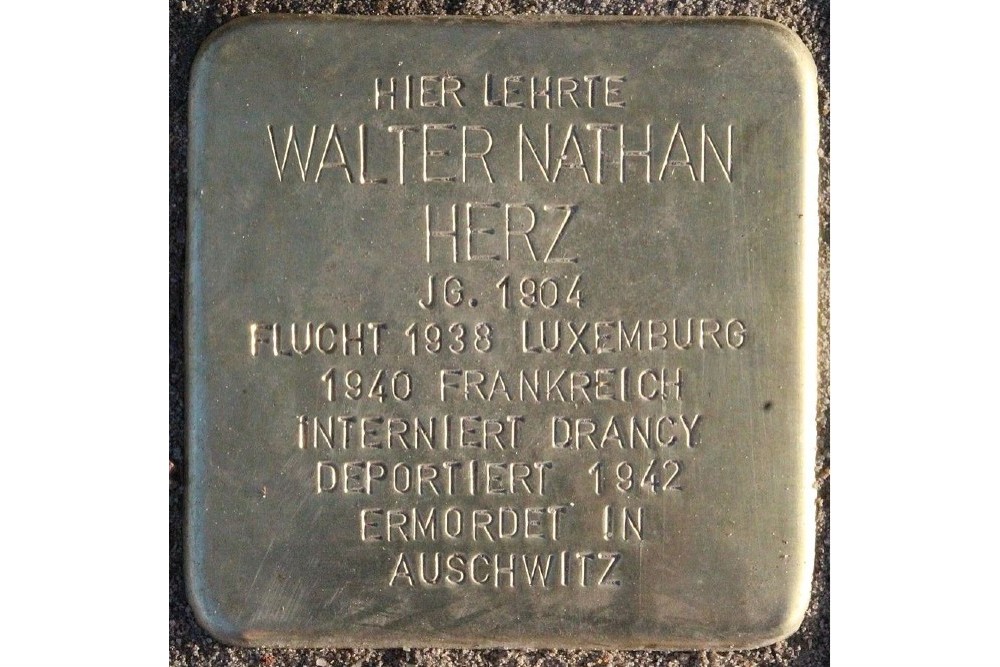 Stolpersteine Grindelhof 30 (TTS) #4