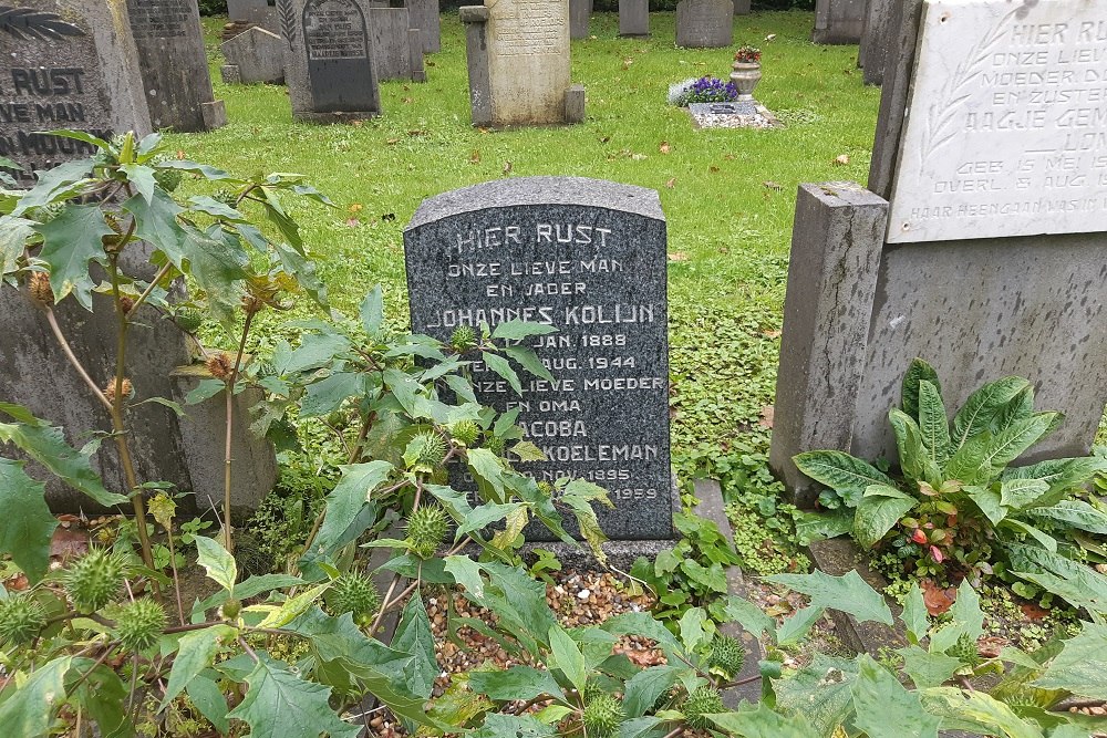 Dutch War Grave Old Municipal Cemetery Purmerend