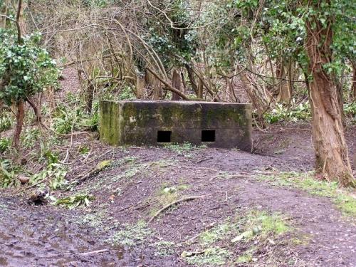 Pillbox FW3/26 Welsh Bicknor