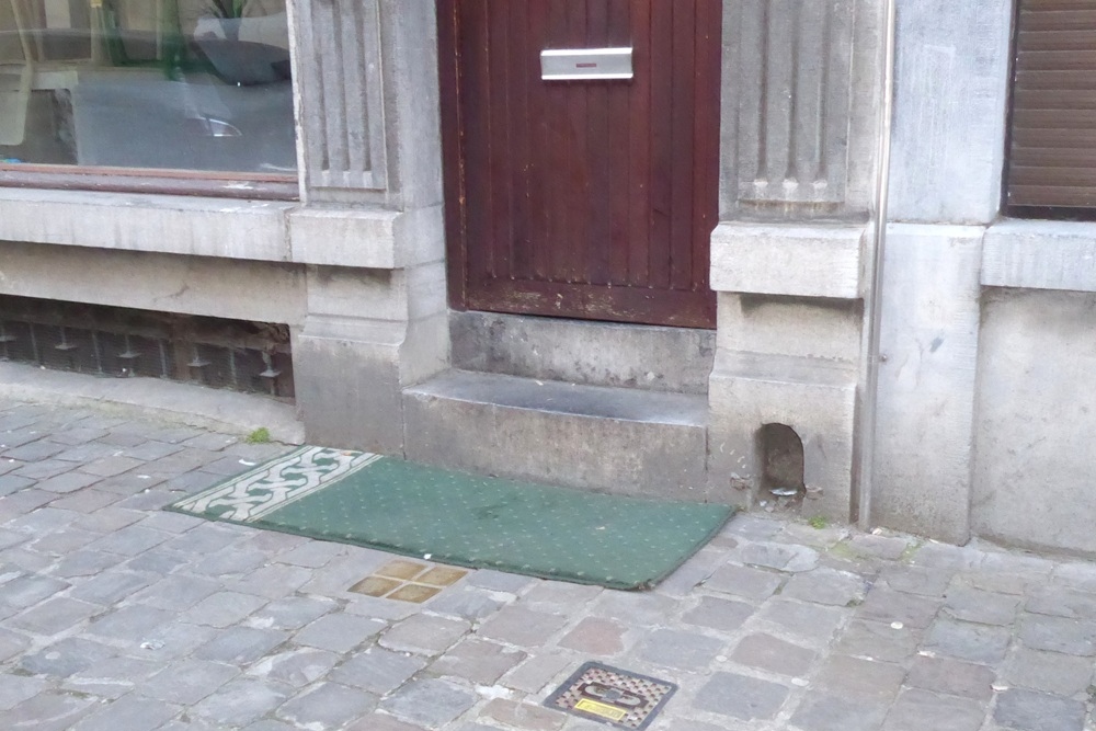 Stolpersteine Voldersstraat 41 #2