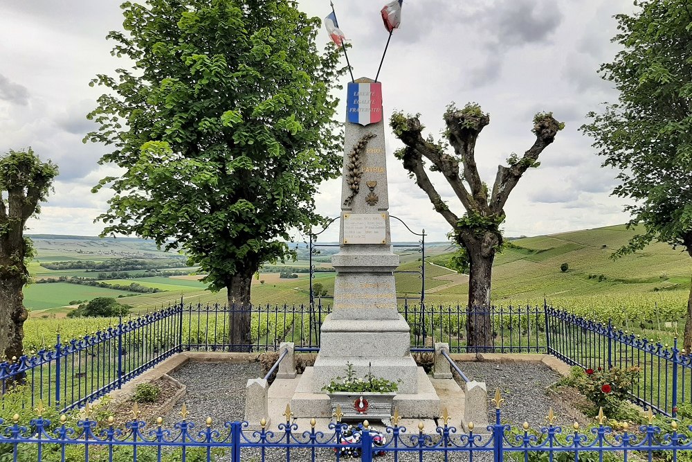 War Memorial Châtillon-sur-Marne #1