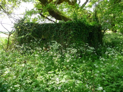 Pillbox FW3/22 East Dean