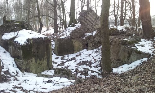 Oderstellung - Remains Casemate