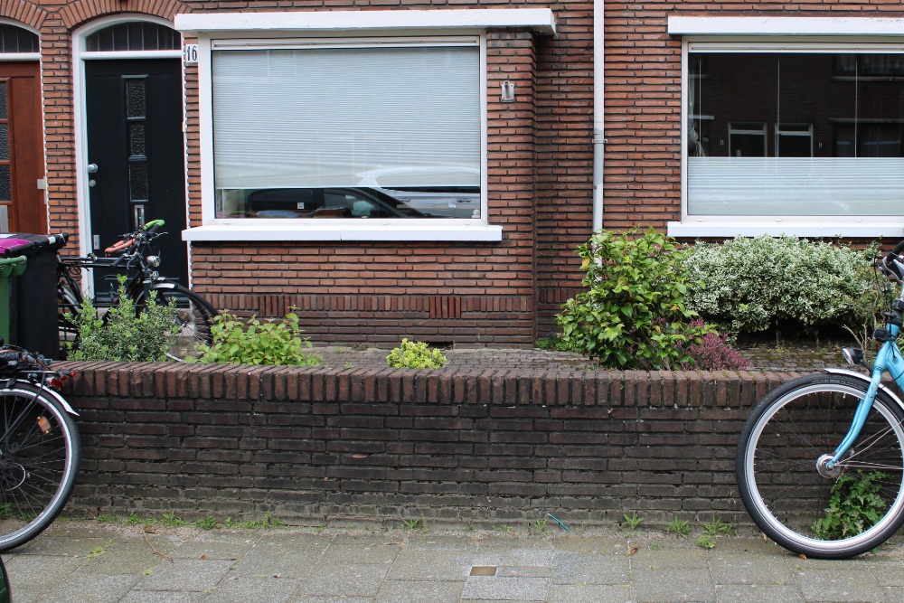 Stumbling Stone Jacob Catsstraat 16 #2