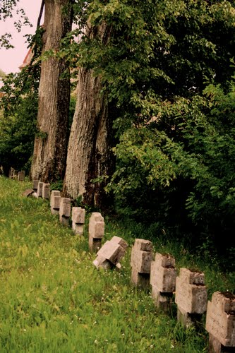 Kalnciems German War Cemetery #2