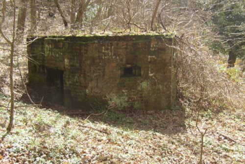 Pillbox FW3/22 Hurtmore #1