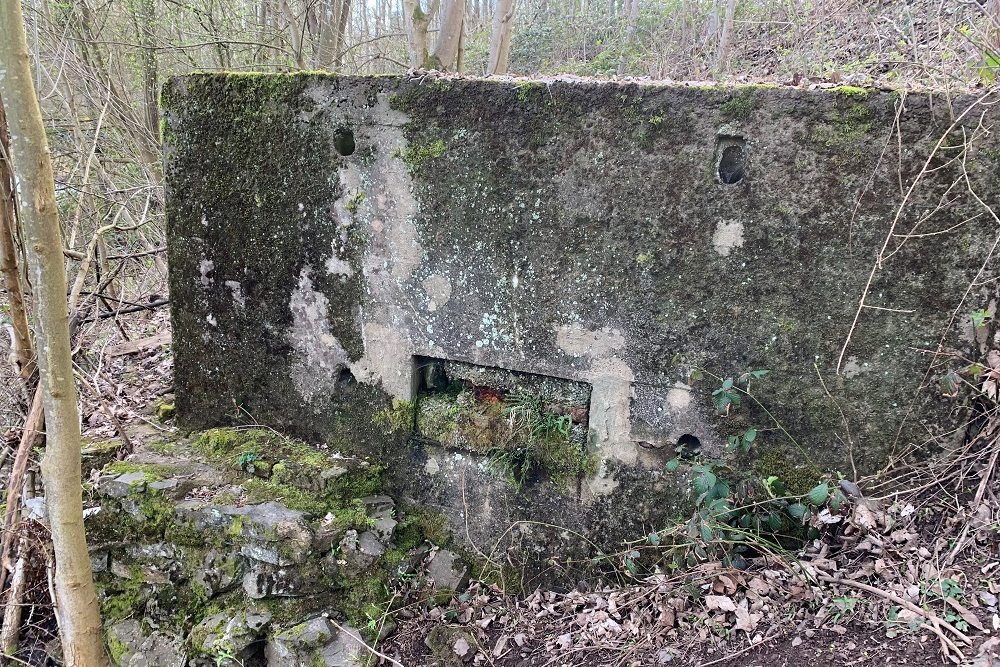 Bunker C - Position Avance Stavelot #5