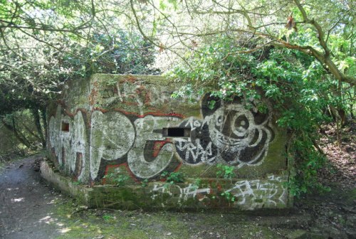 Pillbox FW3/22 New Hythe