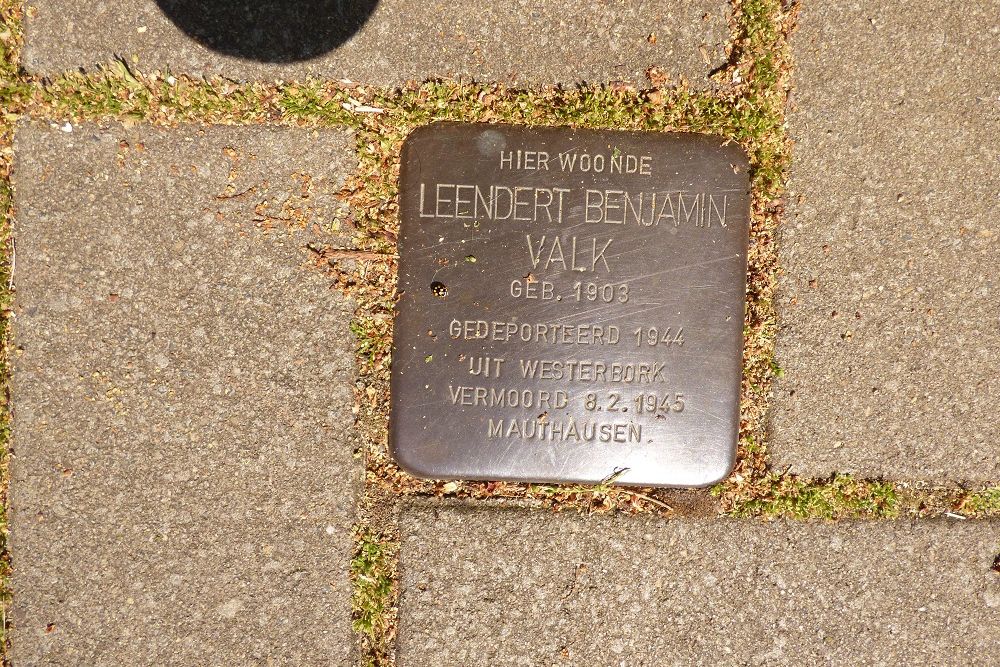 Stolperstein Berglustlaan 36 #1
