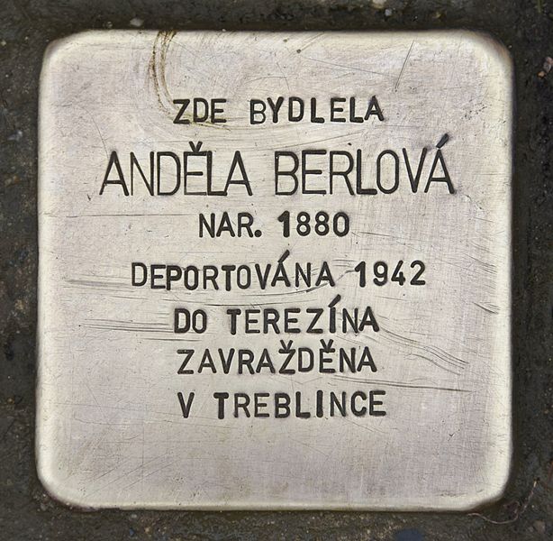 Stolpersteine ilinsk 650/20 #1