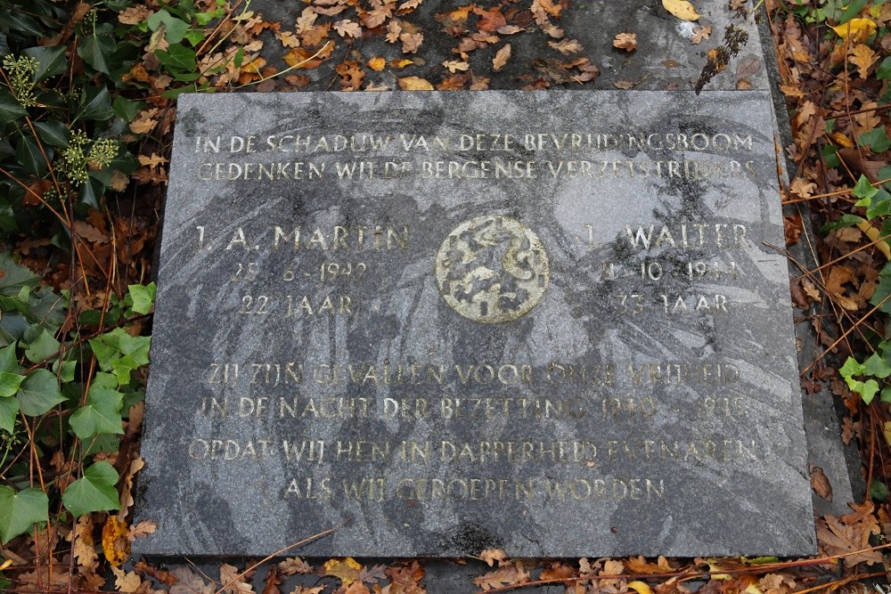 Gedenkteken Verzetsmensen Algemene Begraafplaats Bergen #2