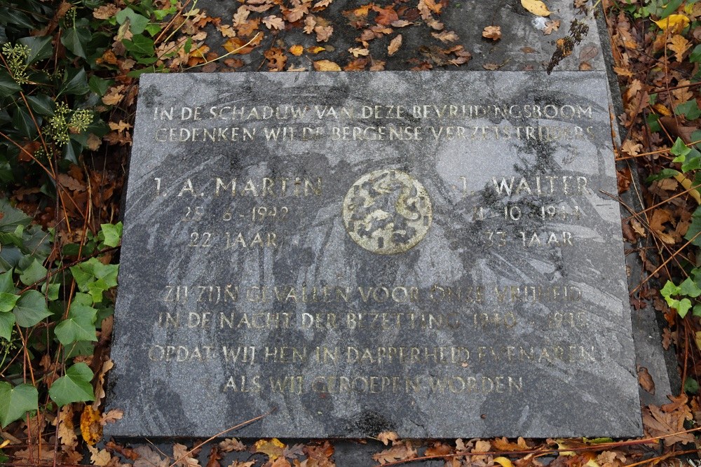 Memorial Resistance Fighters General Cemetery Bergen #2