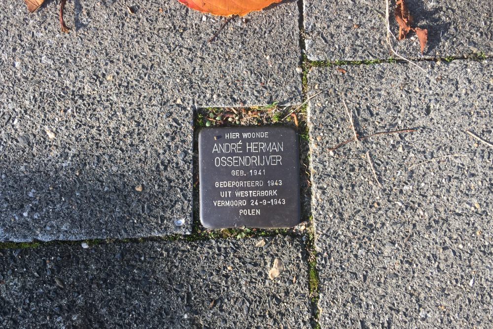 Stumbling Stone Vossenstraat 63 #1