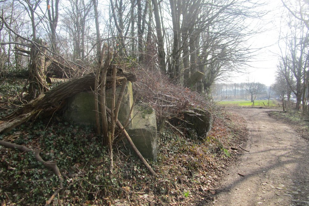 Westwall - Bunker Restanten Augustiner Wald