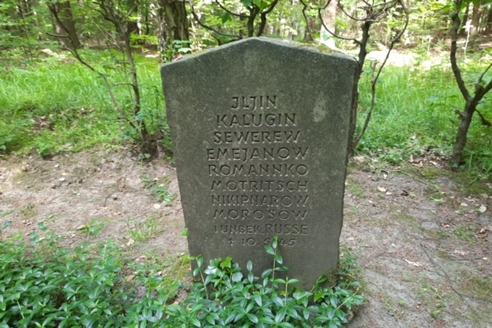 Russian Cemetery Linsburg #2