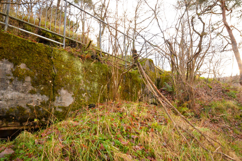 Remains Bunker Schleiden #3