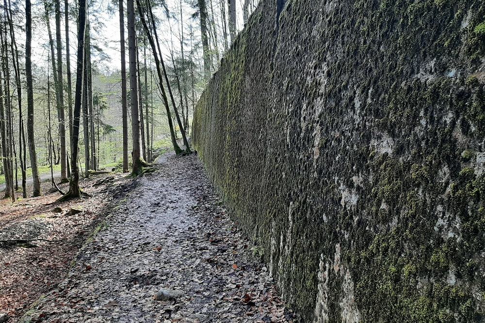 Hitler's Berghof Ruins #2