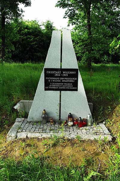 Goloszyce War Cemetery 1914-1915 #2