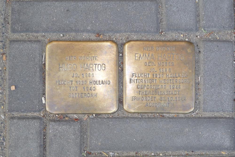 Stolpersteine Alt-Haarener Strae 20 #1