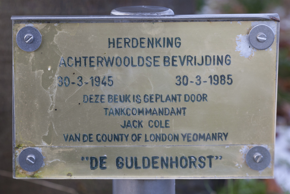 Bevrijdingsbeuk Winterswijk #1