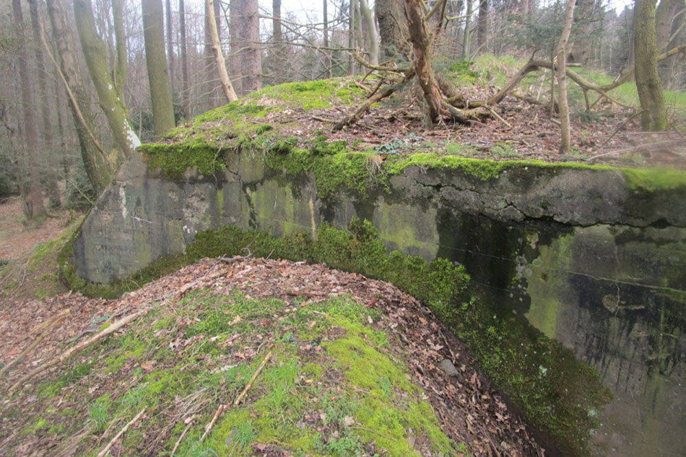 Westwall - Bunker Remains #1