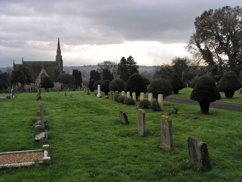 Oorlogsgraven van het Gemenebest Wimborne Minster Cemetery #1