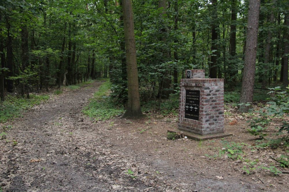 Monument Vliegveld Y-29 Zutendaal #4