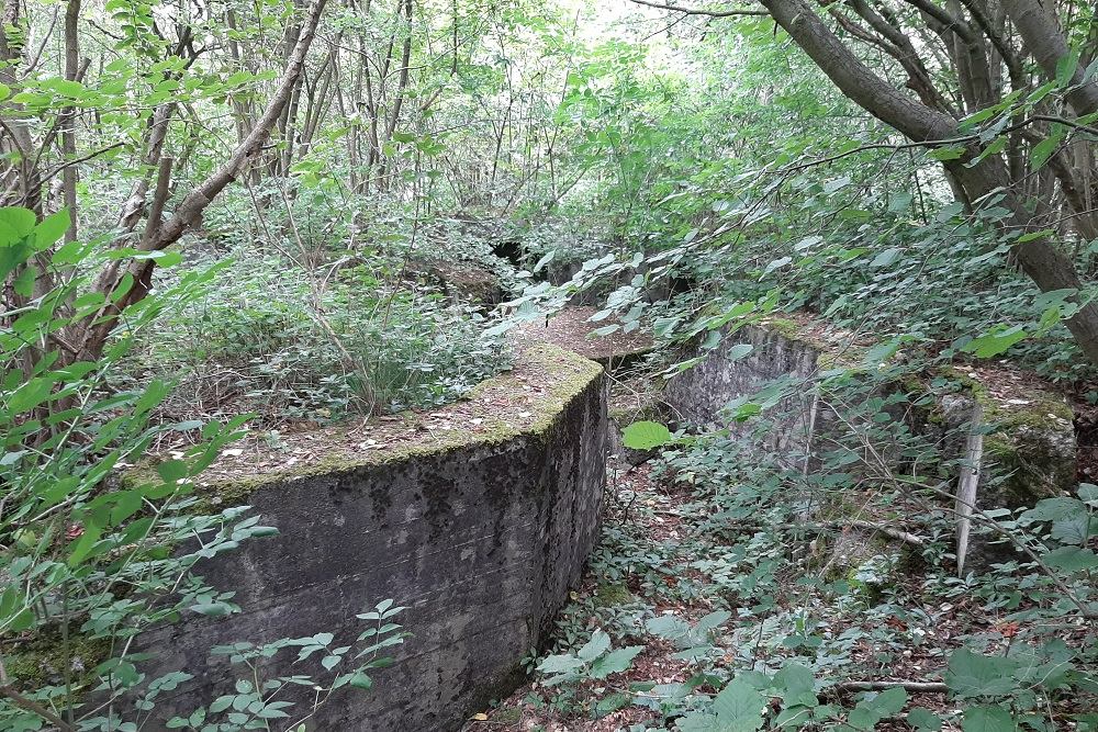 Flakstellung Zingsheim Bunker 3 #5