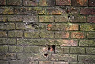 Bulletholes in Bench Oranje-Parc Dordrecht #2