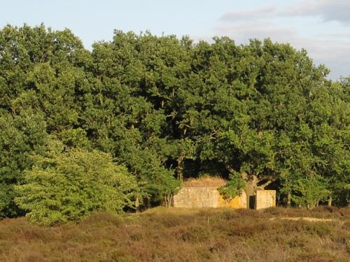 Suffolk Square Pillbox Icklingham