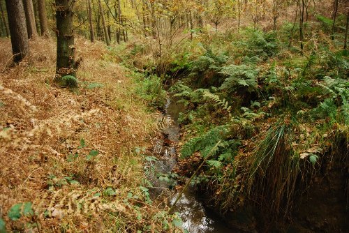 Duitse Loopgraaf Groeneburgbos