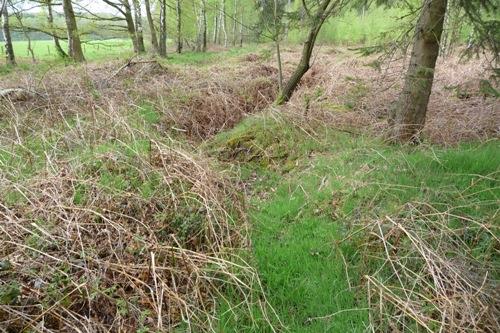 Loopgraaf Propsteier Wald