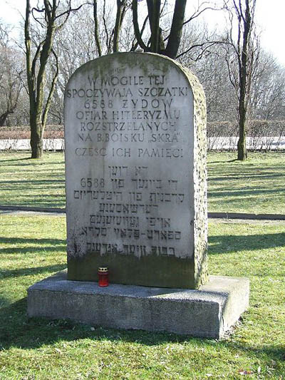 Polish War Cemetery Powstancow #4
