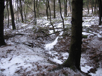 Westwall - GermanTrenches