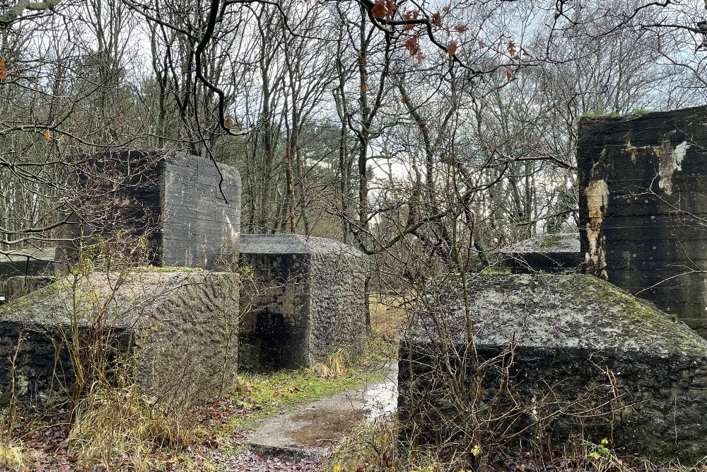 Atlantikwall - Walzkörpersperre (M.F.B. Süd-Ost)