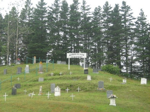 Oorlogsgraf van het Gemenebest Moser River Cemetery