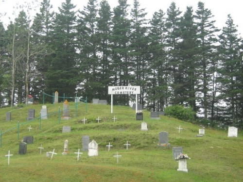 Commonwealth War Grave Moser River Cemetery #1