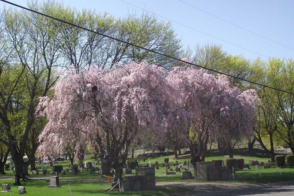 Amerikaanse Oorlogsgraven Prosser Cemetery #1