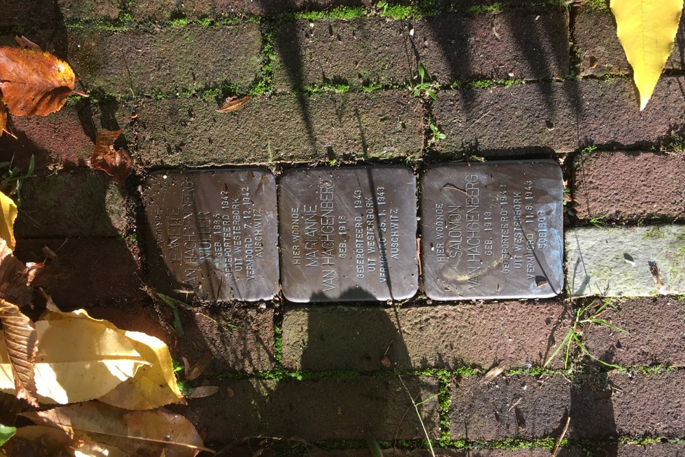 Stolpersteine Edisonplein 3 #1