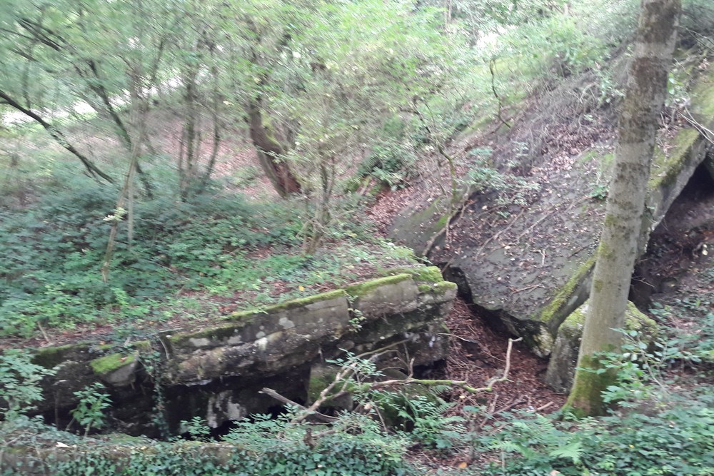 Westwall - Bunker No. 485 Regelbau 10 Gruppenunterstand #4