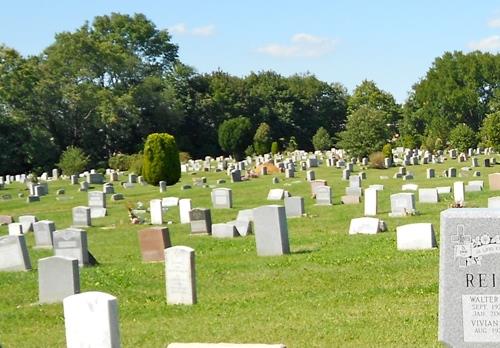 Commonwealth War Grave Philadelphia Eden Memorial Cemetery #1