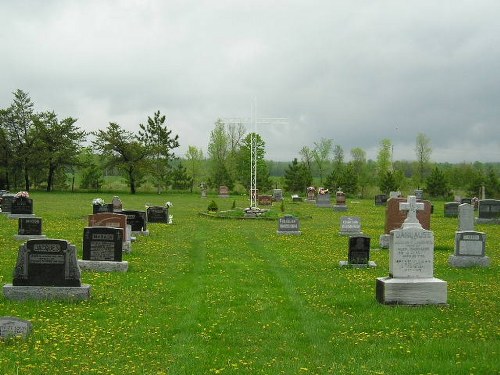 Commonwealth War Grave St. Anthony's Cemetery