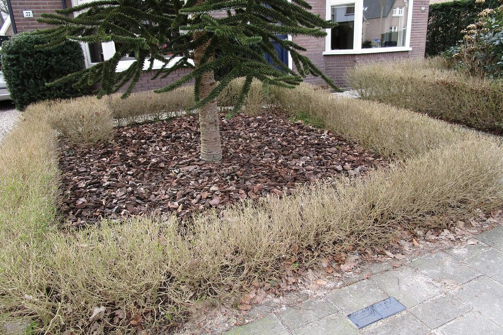 Remembrance Stones Schuttersweg 77 #2