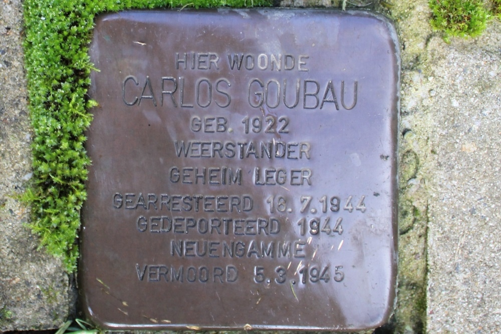 Stolpersteine Goubaulaan 5 #3